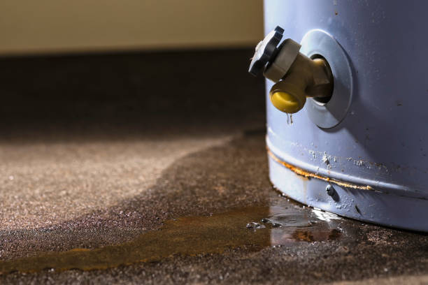 Best Flood damage cleanup  in Strodes Mills, PA